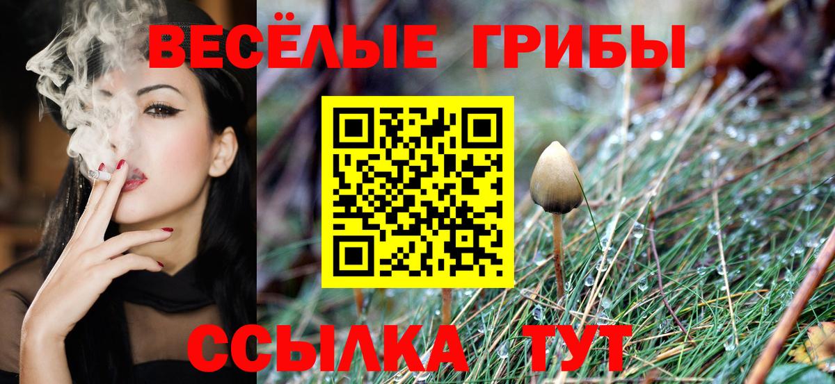 Галлюциногенные грибы Magic Shrooms  наркота  Гусь-Хрустальный  Вход с VPN  Галлюциногенные грибы Psilocybine cubensis 